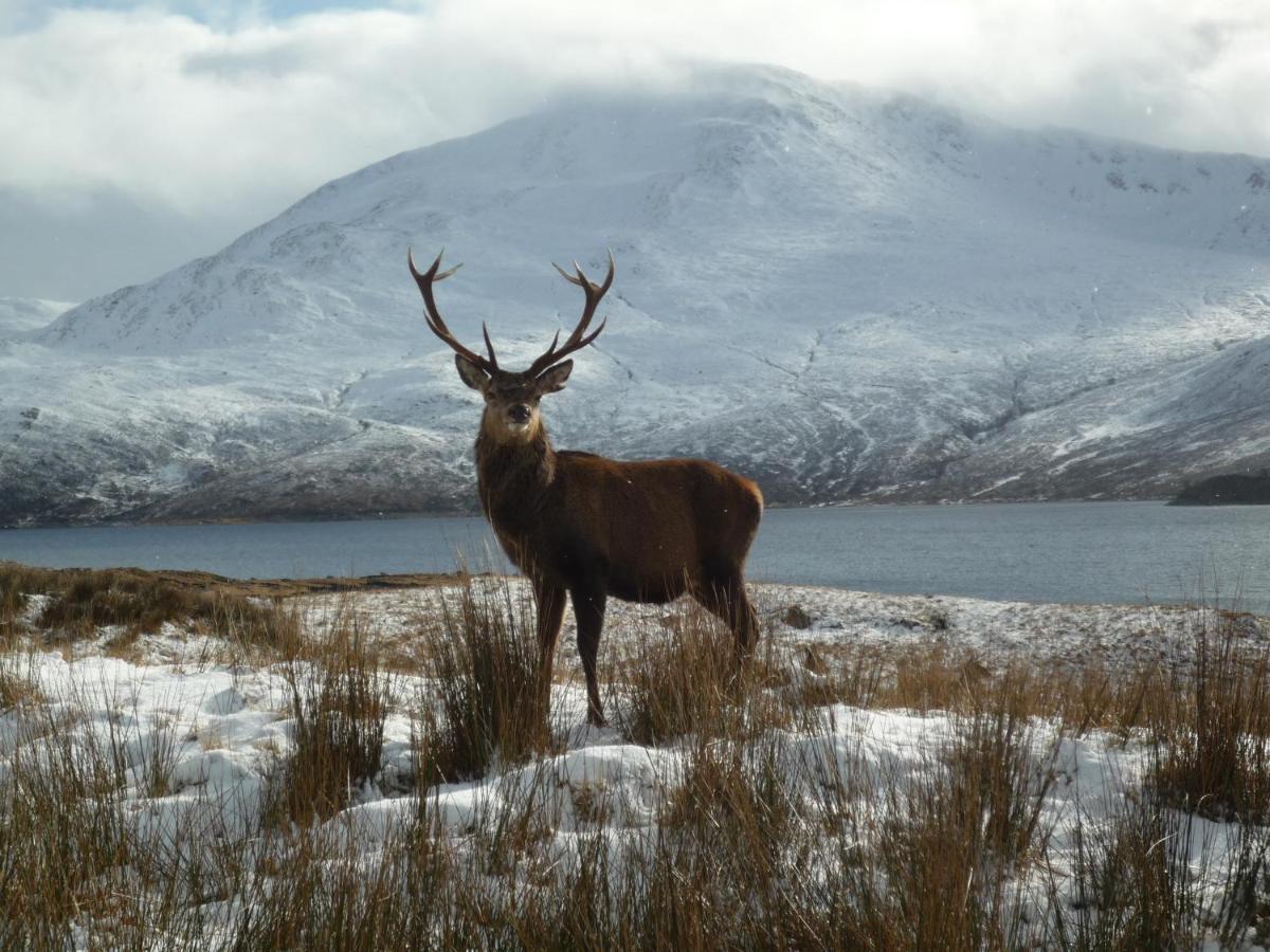 Caledonian Cabin อินเวอร์การ์รี ภายนอก รูปภาพ